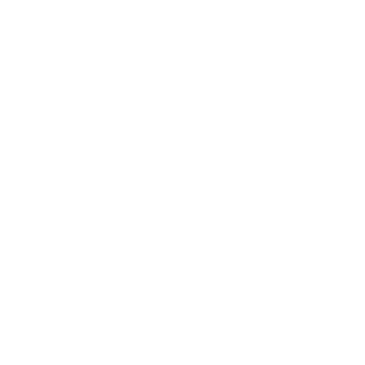 icono misión