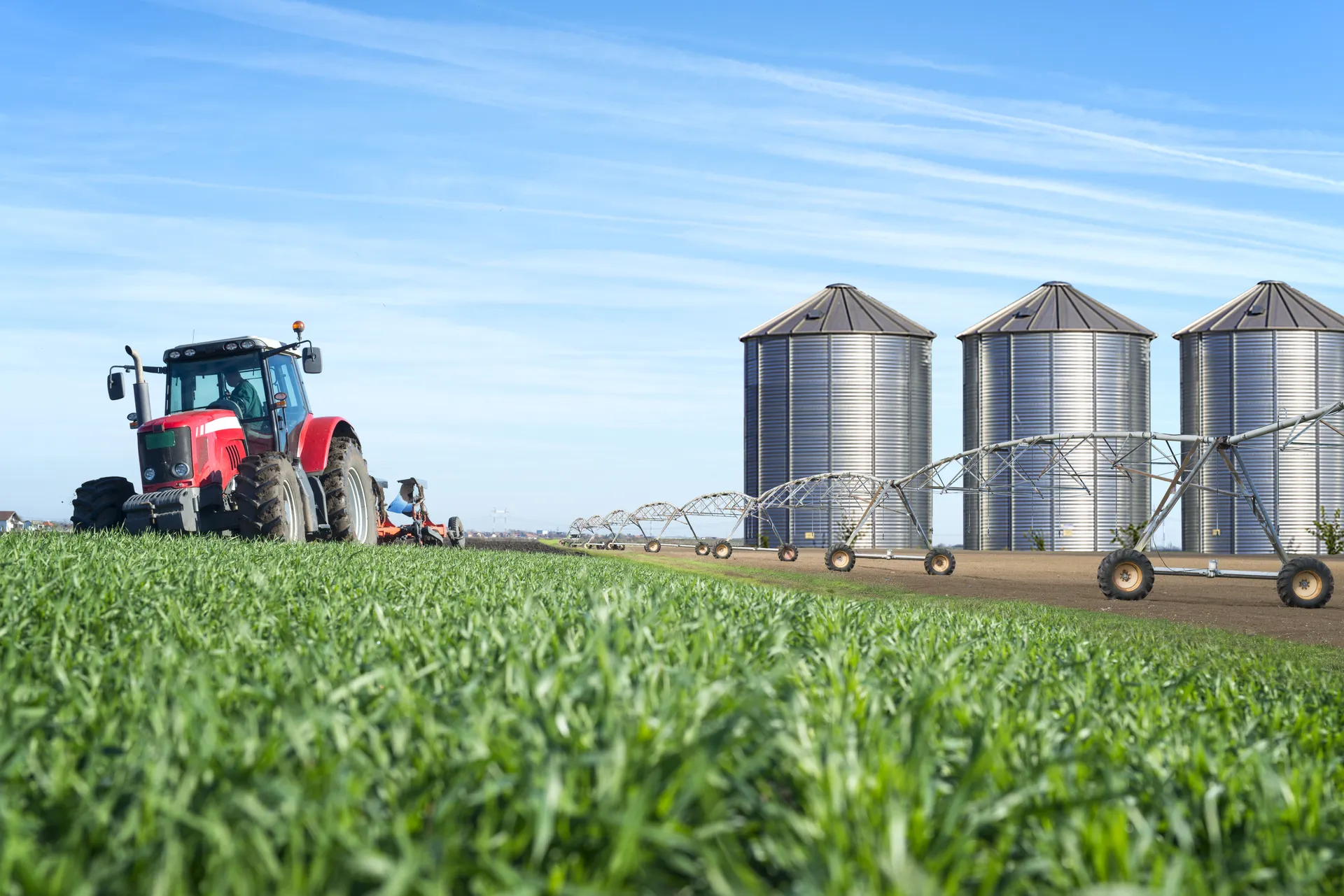 Sector Agrícola y Agroindustrial
